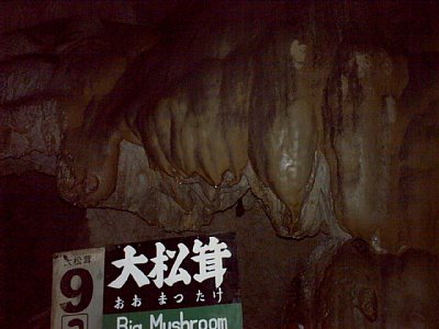 HF叼