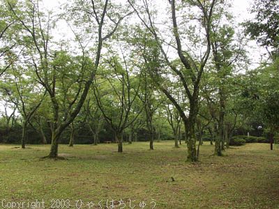 浜田城跡公園