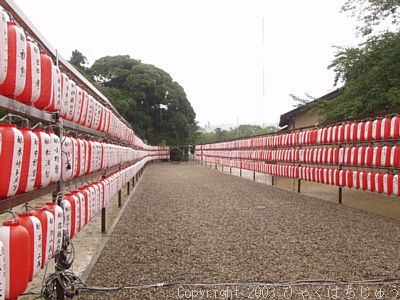 護国神社の提灯