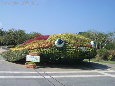 ̍][g`[́EEE1(瓇)