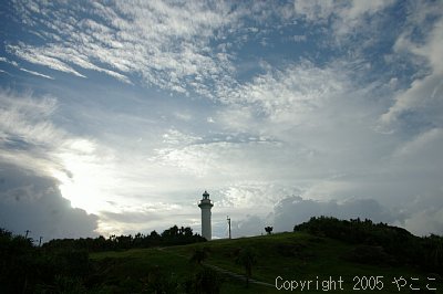 蓔