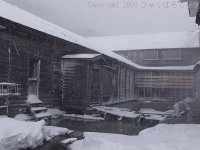 酸ヶ湯温泉の玄関横の池!?