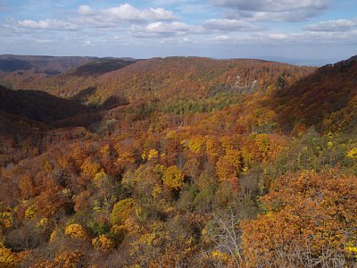 城ヶ倉大橋からの紅葉2