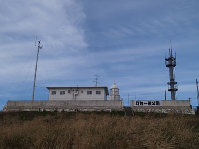 蓔